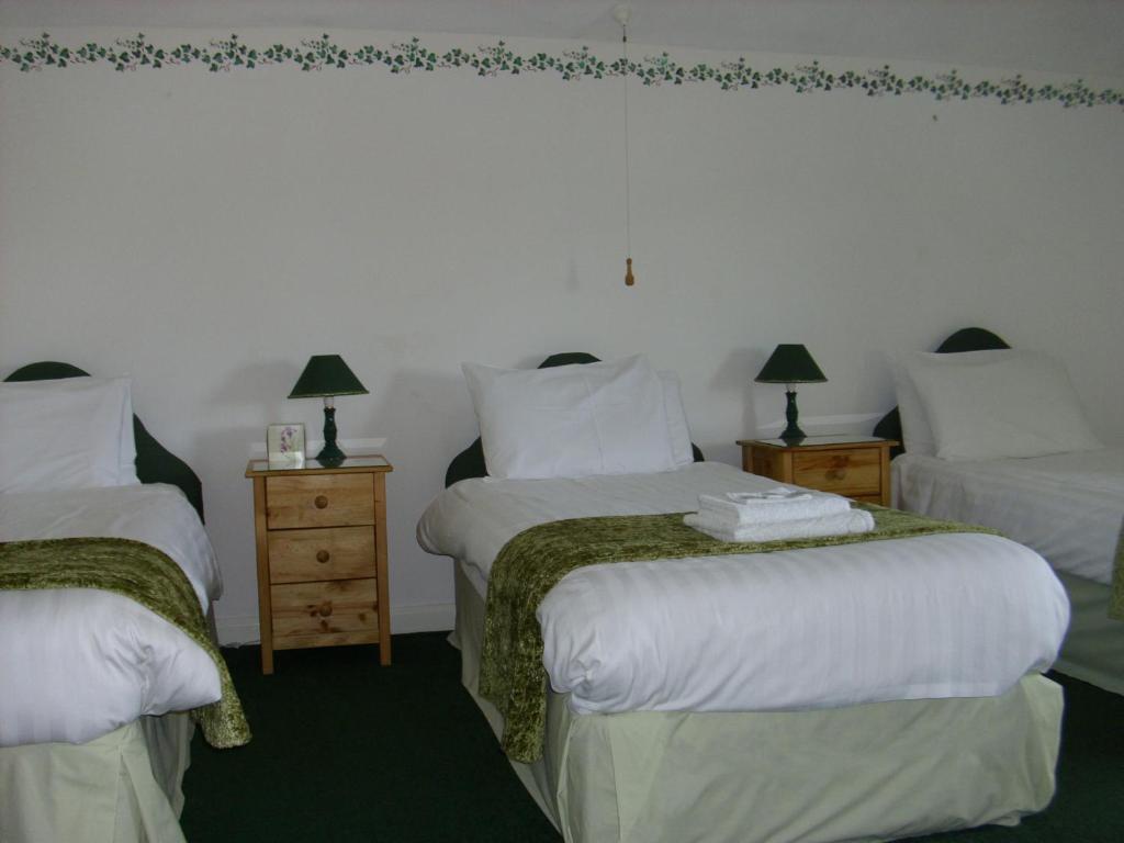 Ty Llew Hotel Llandysilio Room photo